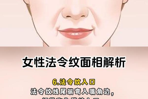 面相全集图解女人