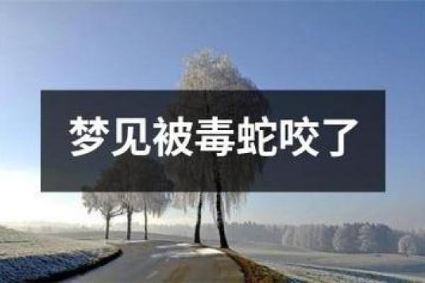 梦见小蛇咬手指