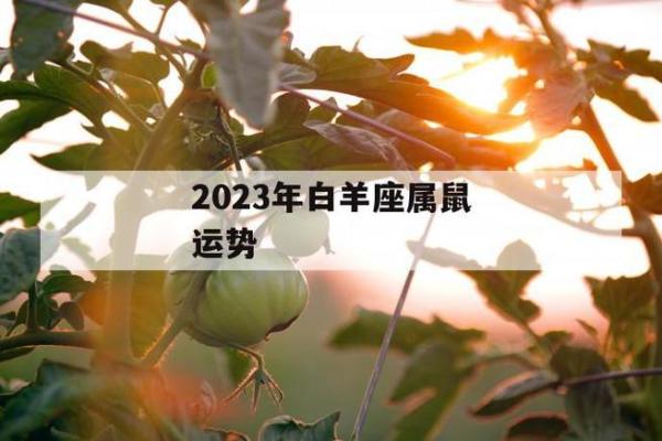属鼠白羊女2025的财运