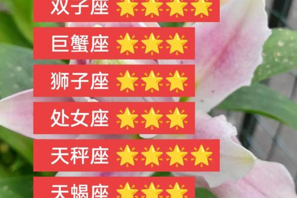 金牛座第一星座网、金牛座第一星座网今日运势查询