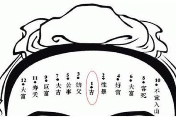 男人梦见女人乳房是什么预兆