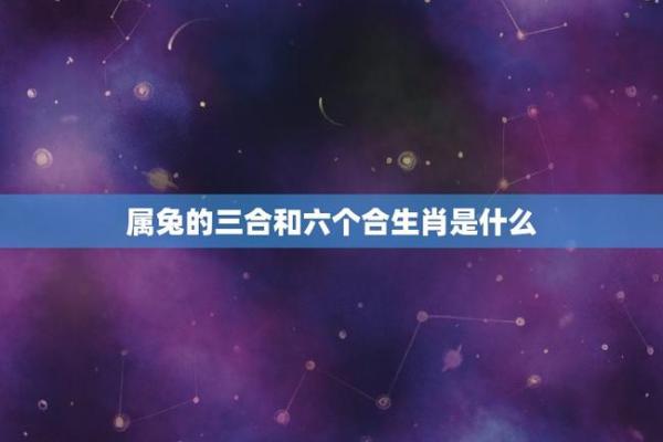 属兔最佳婚配属相(属兔最佳婚配属相表图)