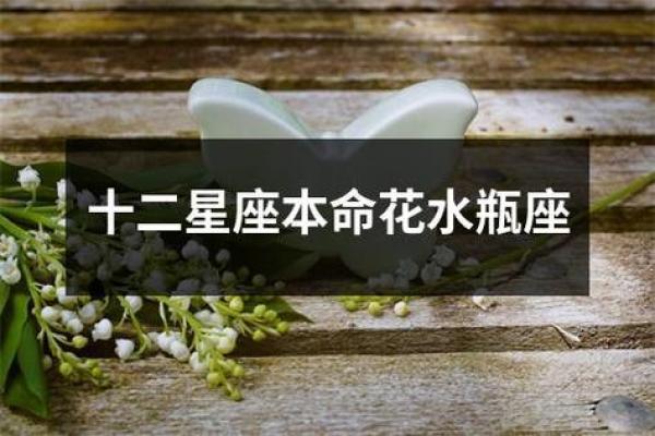 水瓶座最佳朋友星座(水瓶座最佳朋友星座是什么)