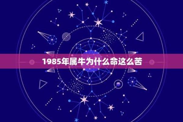 1987年属兔是什么命—1985年属牛是什么命