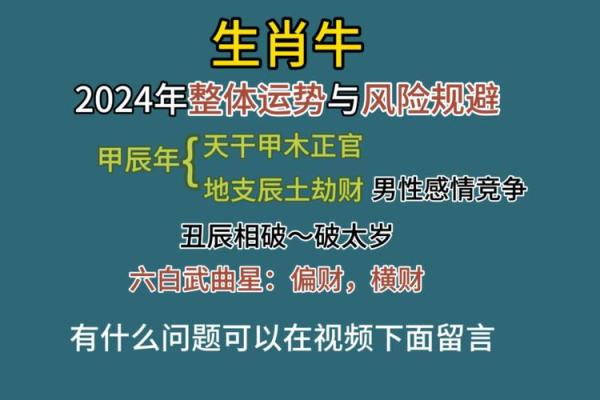 2024年属牛男结婚最佳吉日推荐与注意事项(属牛人2024年)