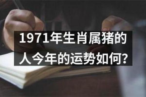 71属猪人2025运势