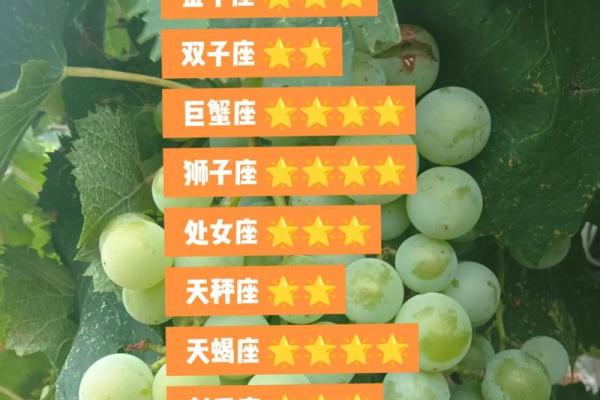 白羊座与水瓶座—白羊座与水瓶座配对指数