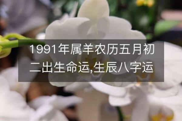 1991年属羊的2025年运势和财运怎么样;91年羊2025年运势如何