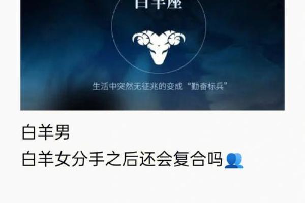 白羊座男—白羊座男和水瓶座女合适吗