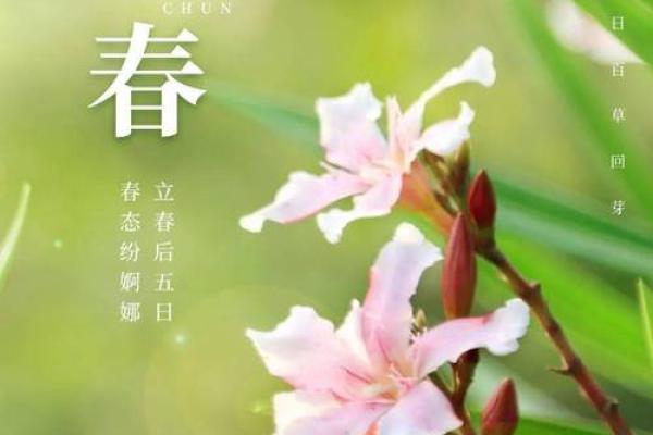 4月2日是什么节,4月2日是什么节气