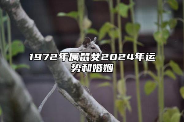 2024年鼠女结婚吉日精选最佳时辰指南 属鼠的2023年结婚的好日子