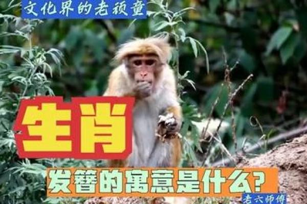 红颜丑陋无天理是什么生肖-红颜丑陋无天理猜生肖