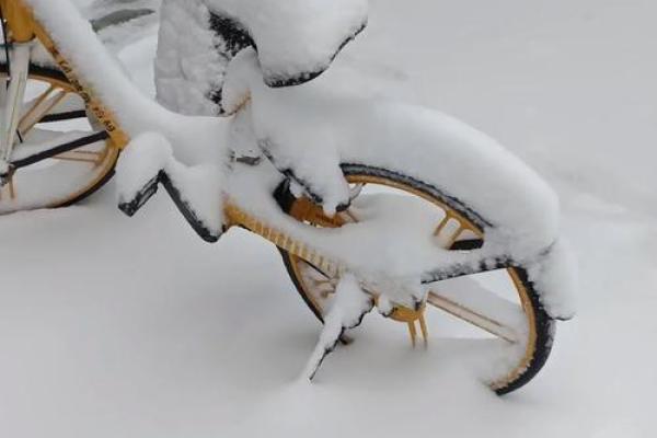 做梦梦到下雪是什么预兆