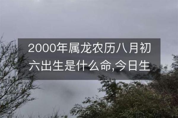 2000属龙姻缘在哪年、2000属龙姻缘在哪年出现