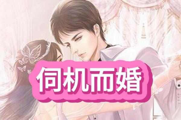 婚了头全文免费阅读(婚了头全文免费阅读好看吗)