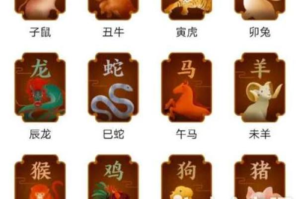 一年四季是什么生肖？、一年四季是什么生肖最佳