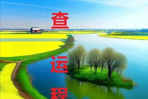 63年的2025年运势和财运怎么样_63年2021年运势及运程每月运程