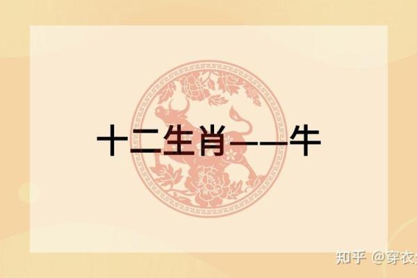 2003年属什么生肖，今年多大了(2024年28岁属什么生肖)