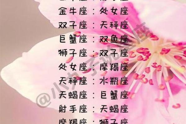 天秤座和双子座配吗,天秤座和双子座配吗陶白白