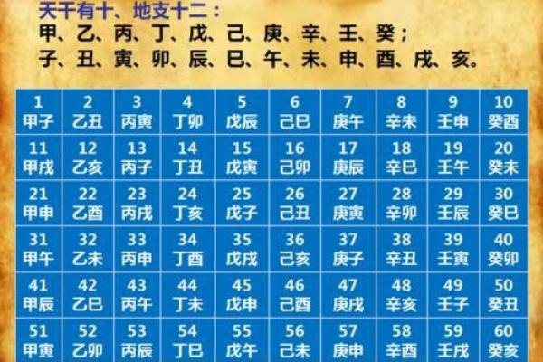 八字五行属性;八字五行属性是看年干还是日干