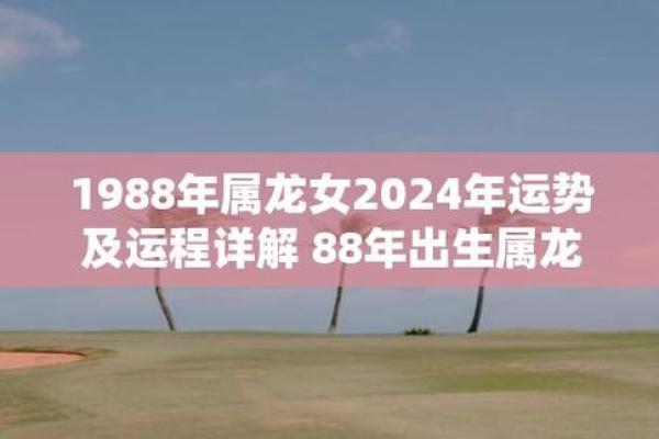 2024年属龙新人结婚吉日选择指南(请问2024年属龙的是什么命)