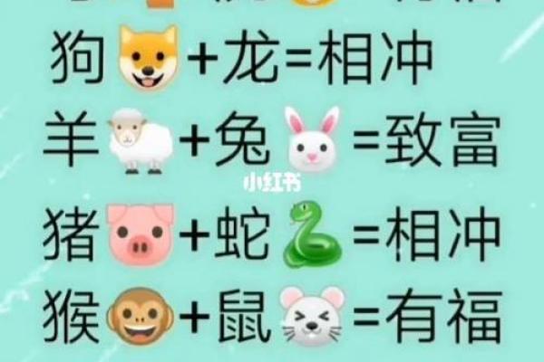 婚配口诀—生肖婚配口诀