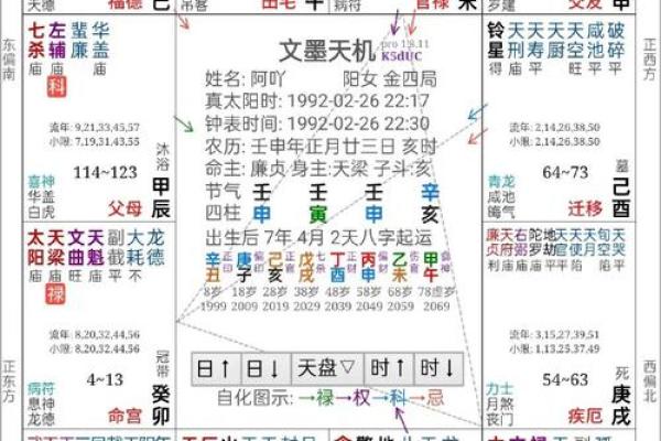 免费紫微斗数命盘详解-紫微斗数命盘详解破解版