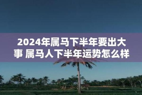 1978年属马的2025年运势和财运怎么样—1978年属马未来5年运势