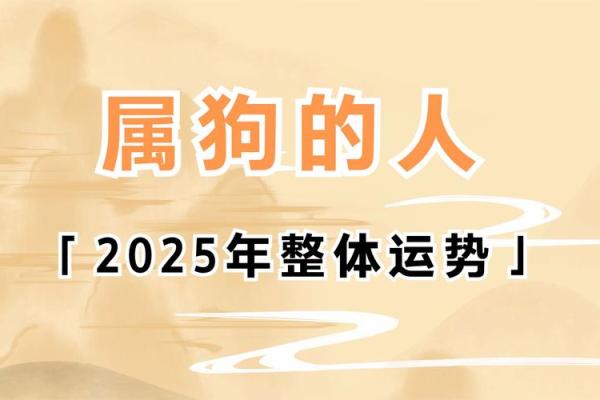 1971年属狗的2025年运势和财运怎么样-1971年属狗的在2020年好不好