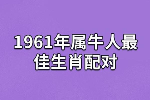 属鸡与属鼠结婚吉日选择指南幸福美满的最佳时机(属鸡和属鼠的结婚吉日)