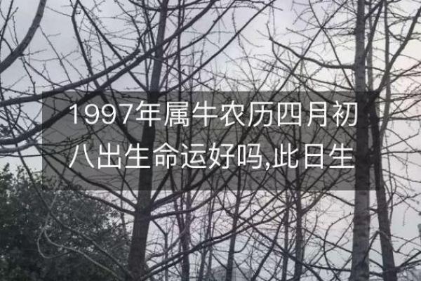 1997年是属什么生肖，今年多大了;1997属什么的今年多大了