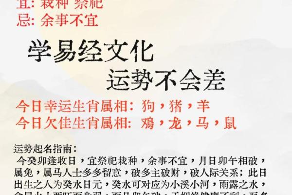 1990年属马的姻缘、1990年属马的姻缘在哪年