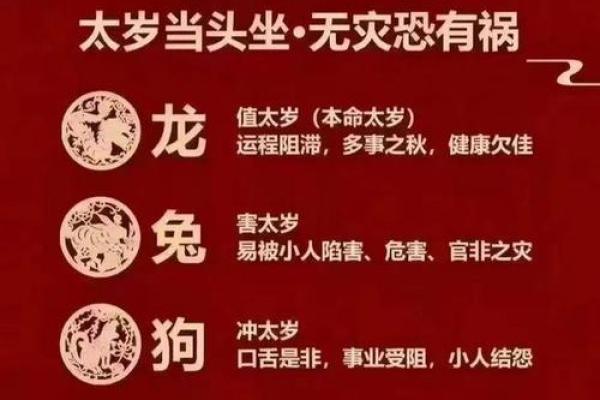 1983年属什么生肖，今年多大了—1983年到2024年多少岁