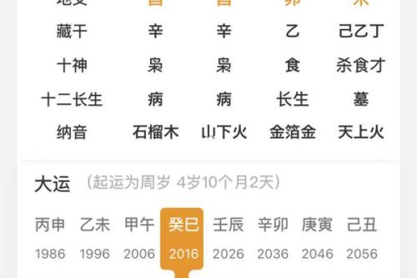 免费命盘、算命免费命盘