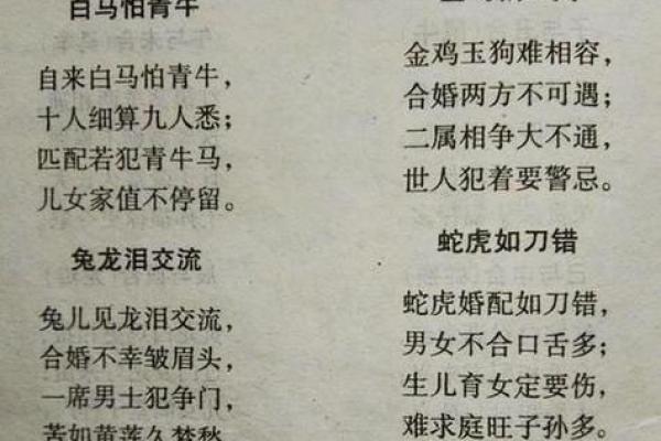 情侣八字配对测试(情侣八字算命配对)