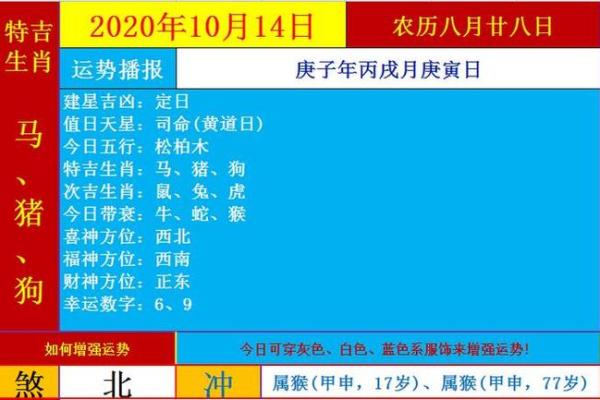 生辰八字2025年运势(生辰八字2025年运势免费)