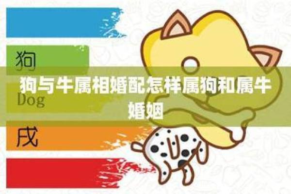 属狗跟属马的姻缘怎么样-属狗跟属马的姻缘怎么样啊
