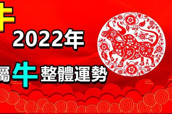 2022年属什么生肖，今年多大了(2022年属什么生肖今年多大了)