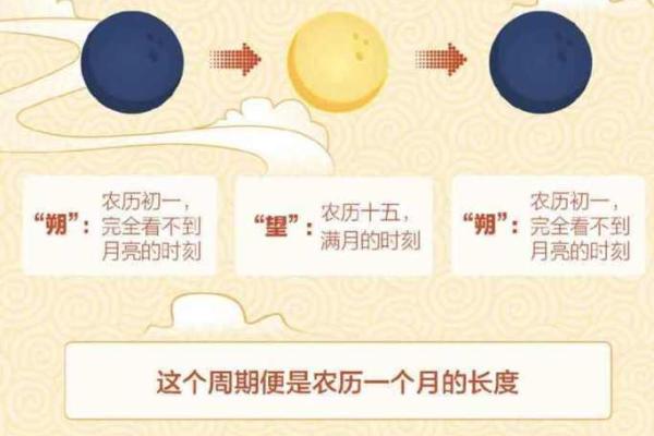 明年是什么生肖年、明年是什么生肖年呀2029