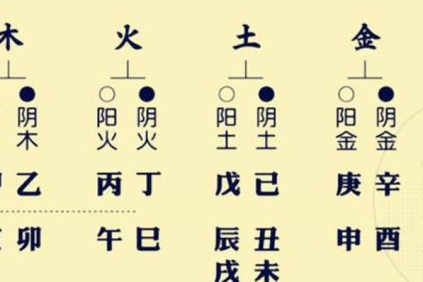 怎么看八字_怎么看八字喜什么五行