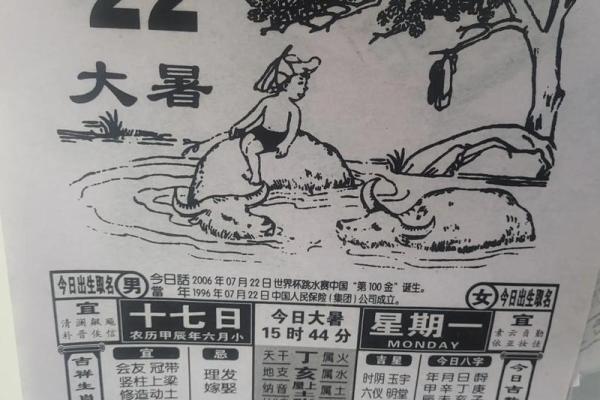 1999年兔和2001年蛇八字合吗(1999年的兔和2001年的蛇)