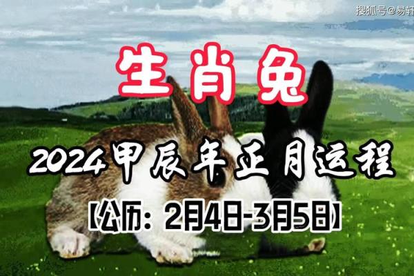 1999年属兔24岁姻缘、1999年属兔24岁姻缘什么命呢,是不是土命