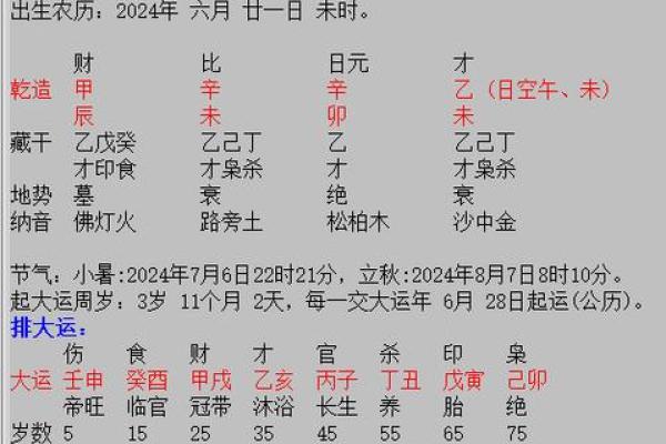 2024年12月生子吉日查询 为宝宝选择最佳生日