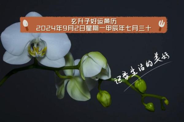甲辰龙年腊月购车吉日 2024年12月提车好日子