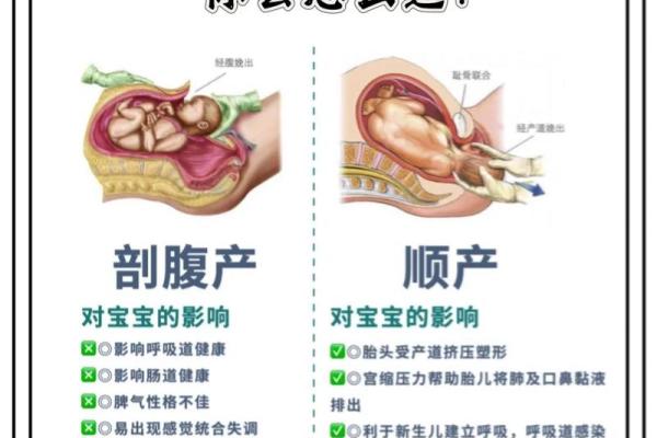 剖腹产择日指南2024年12月 为宝宝的未来选择一个好开始