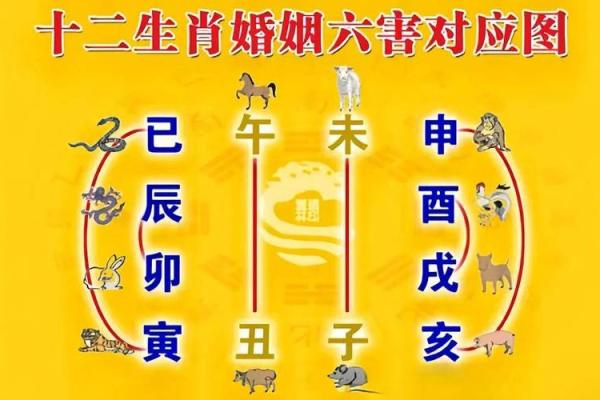 两个人生辰八字合不合怎么算，属相相克最厉害的一对
