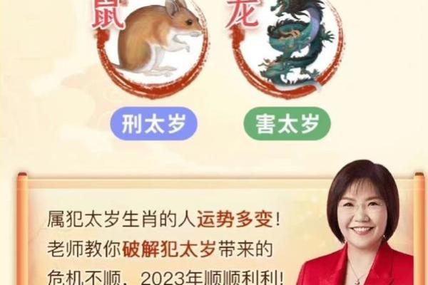 麦玲玲八字合婚，麦玲玲八字合婚了吗