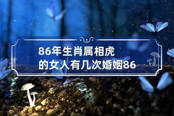 男虎女鼠婚姻是否相配好不好，男属虎女属羊婚姻相配吗好吗