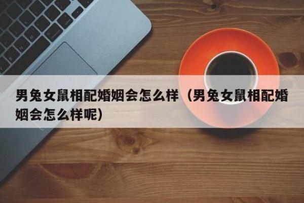 96年属鼠和99年属兔的婚姻如何，96年属鼠和99年属兔的合不合
