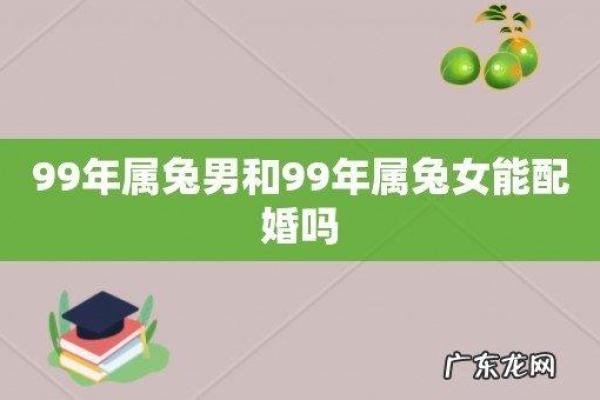 1999年属兔婚姻配对表，1999年属兔的婚姻状况